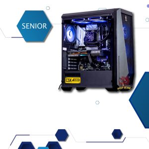 PC Gaming - SENIOR